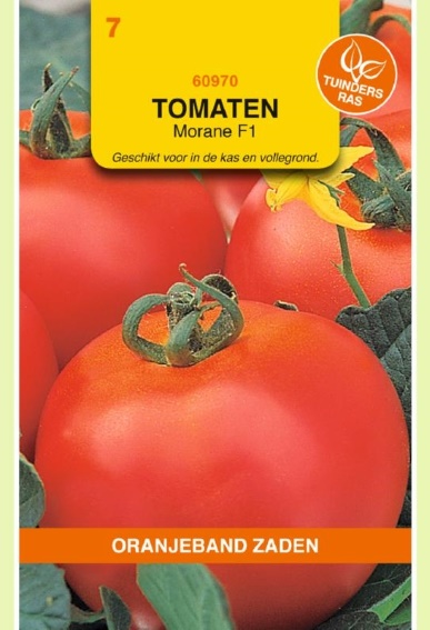 Tomaat Morane F1 (Solanum) 30 zaden